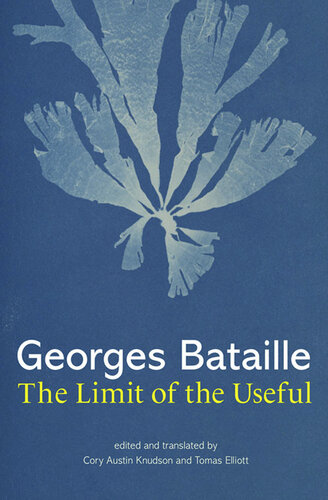 The Limit of the Useful (PDF/EPUB Version)
