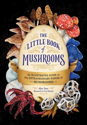The Little Book of Mushrooms: An Illustrated Guide to the Extraordinary Power of Mushrooms (PDF/EPUB Version)
