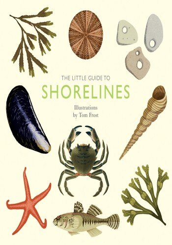 The Little Guide to Shorelines (PDF/EPUB Version)
