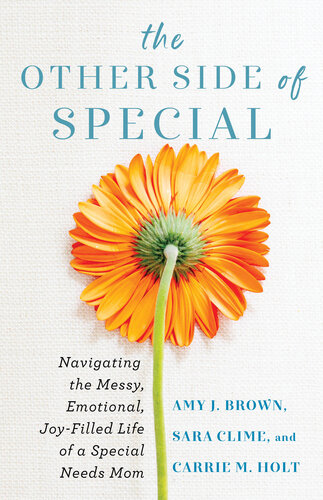 The Other Side of Special: Navigating the Messy, Emotional, Joy-Filled Life of a Special Needs Mom (PDF/EPUB Version)

