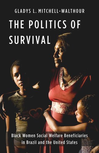 The Politics of Survival: Black Women Social Welfare Beneficiaries in Brazil and the United States (PDF/EPUB Version)
