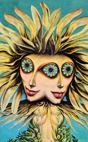 The Psychedelic Digest (PDF/EPUB Version)
