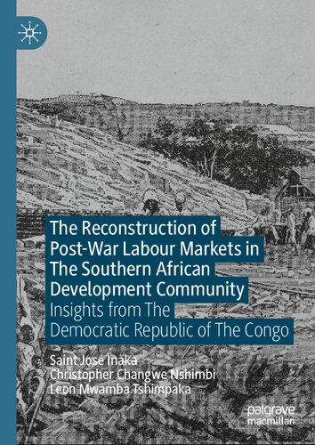 The Reconstruction of Post-War Labour Markets in The Southern African Development Community: Insights from The Democratic Republic of The Congo (PDF/EPUB Version)
