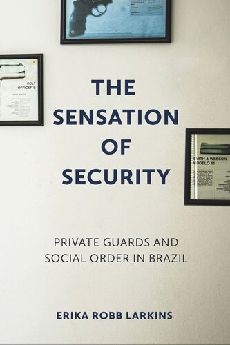 The Sensation of Security: Private Guards and Social Order in Brazil (PDF/EPUB Version)
