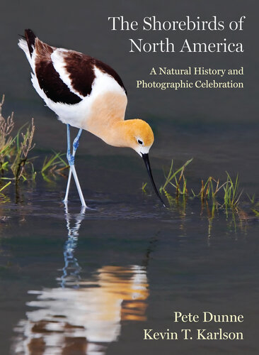 The Shorebirds of North America: A Natural History and Photographic Celebration (PDF/EPUB Version)