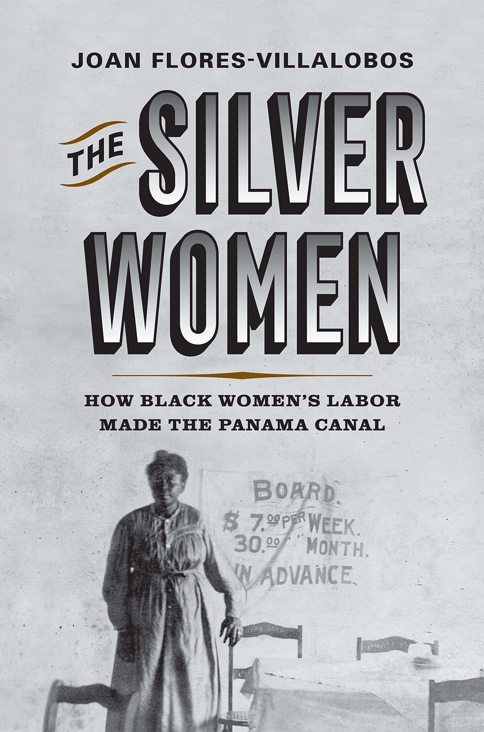 The Silver Women: How Black Women’s Labor Made the Panama Canal (PDF/EPUB Version)
