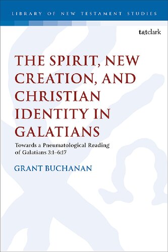 The Spirit, New Creation, and Christian Identity: Towards a Pneumatological Reading of Galatians 3:1–6:17 (PDF/EPUB Version)
