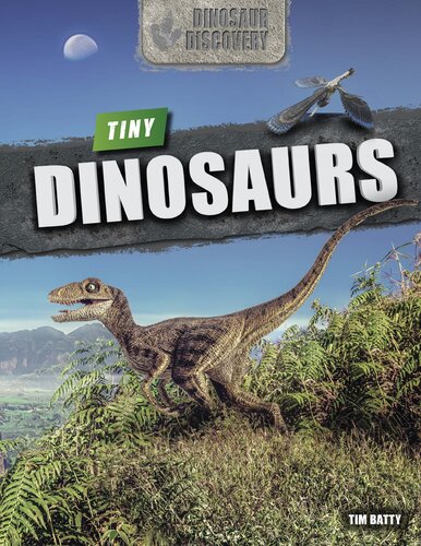 Tiny Dinosaurs (PDF/EPUB Version)
