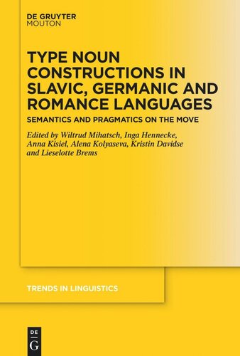 Type Noun Constructions in Slavic, Germanic and Romance Languages: Semantics and Pragmatics on the Move (PDF/EPUB Version)

