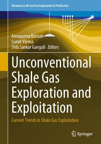 Unconventional Shale Gas Exploration and Exploitation: Current Trends in Shale Gas Exploitation (Advances in Oil and Gas Exploration & Production) (PDF/EPUB Version)