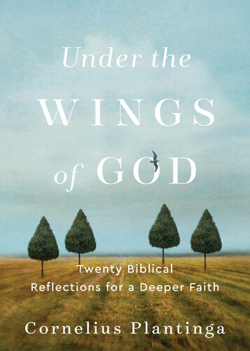 Under the Wings of God: Twenty Biblical Reflections for a Deeper Faith (PDF/EPUB Version)
