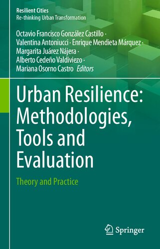 Urban Resilience: Methodologies, Tools and Evaluation: Theory and Practice (PDF/EPUB Version)
