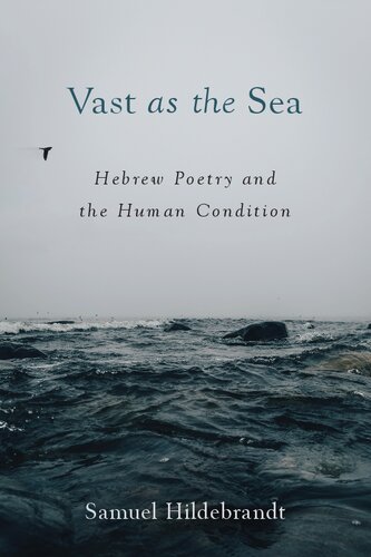 Vast as the Sea: Hebrew Poetry and the Human Condition (PDF/EPUB Version)
