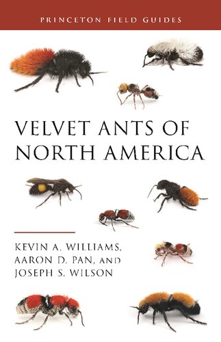 Velvet Ants of North America (PDF/EPUB Version)