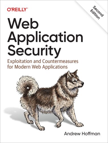 Web Application Security (PDF/EPUB Version)
