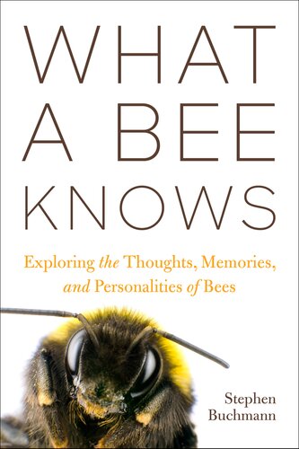 What a Bee Knows (PDF/EPUB Version)
