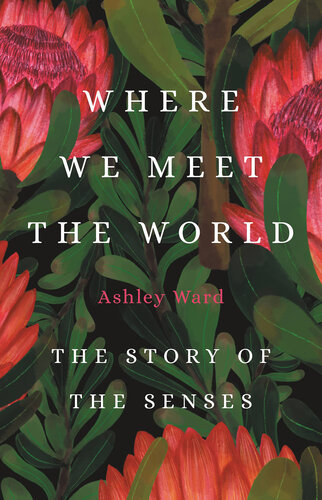 Where We Meet the World: The Story of the Senses (PDF/EPUB Version)
