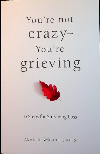 You're not Crazy, You're are Grieving, 6 Steps for Surviving Loss PDF (PDF/EPUB Version)
