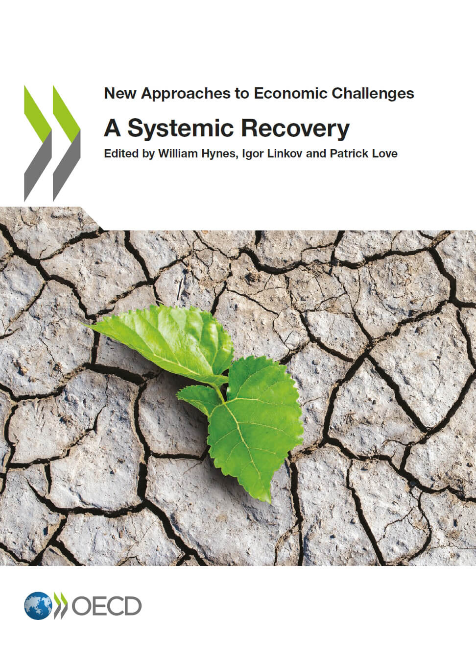 A Systemic Recovery (PDF/EPUB Version)