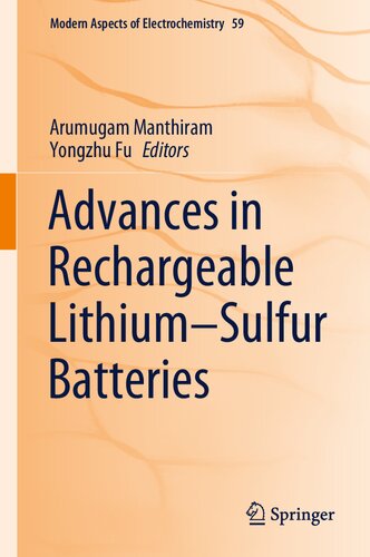 Advances in Rechargeable Lithium–Sulfur Batteries (PDF/EPUB Version)