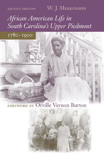 African American Life in South Carolina's Upper Piedmont, 1780-1900 (PDF/EPUB Version)