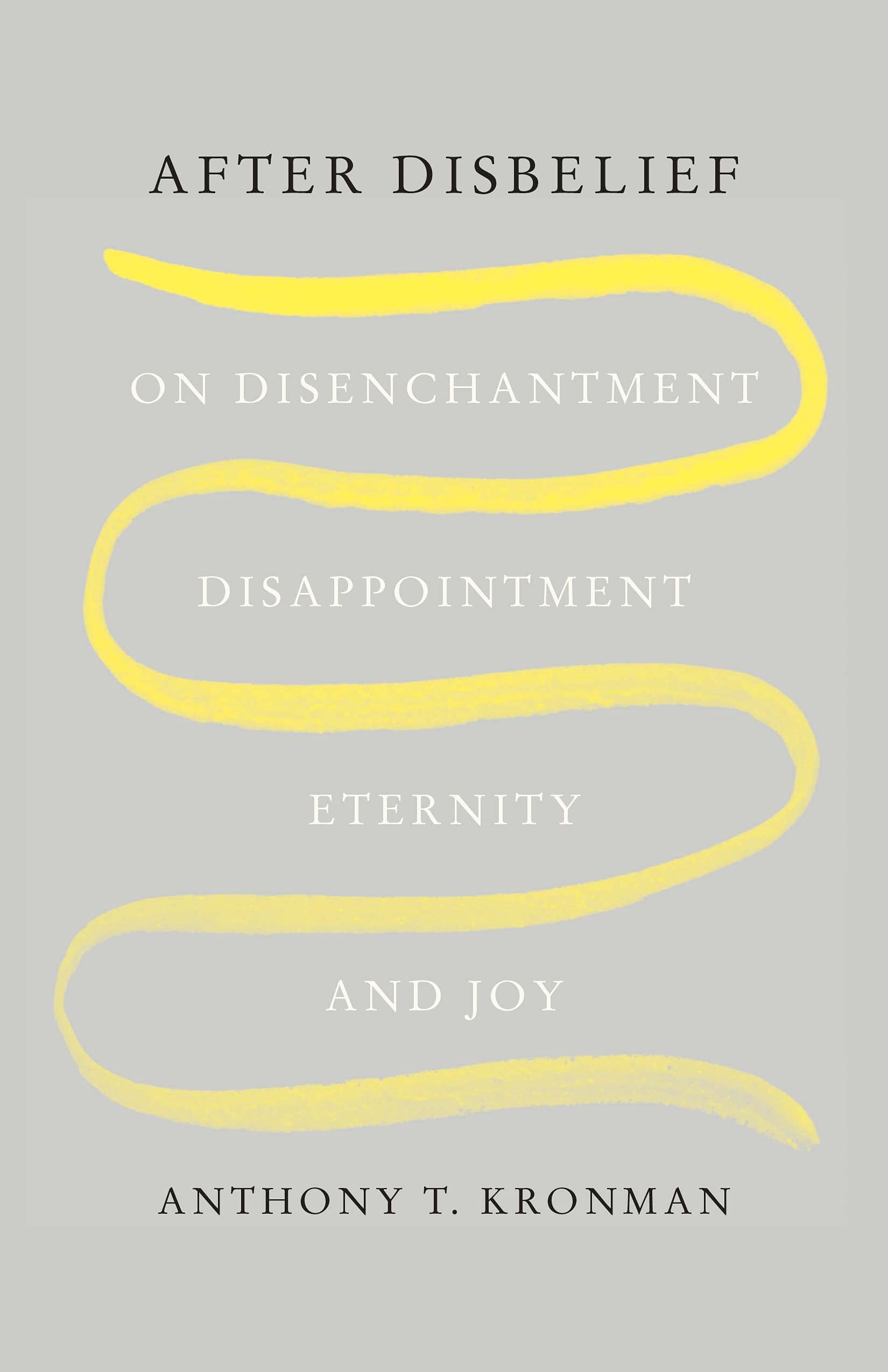 After Disbelief: On Disenchantment, Disappointment, Eternity, and Joy (PDF/EPUB Version)