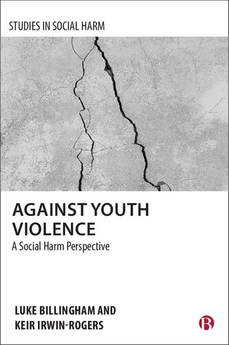 Against Youth Violence: A Social Harm Perspective (PDF/EPUB Version)