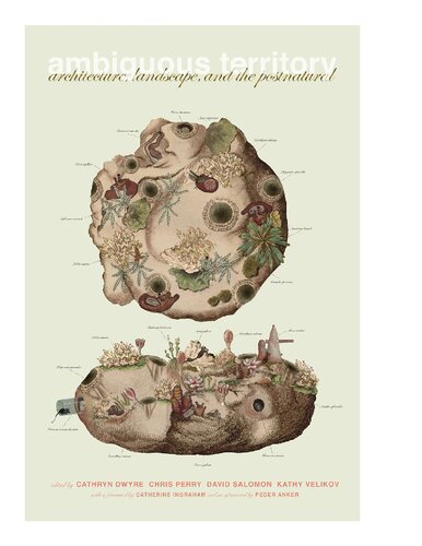 Ambiguous Territory: Architecture, Landscape and the Postnatural (PDF/EPUB Version)