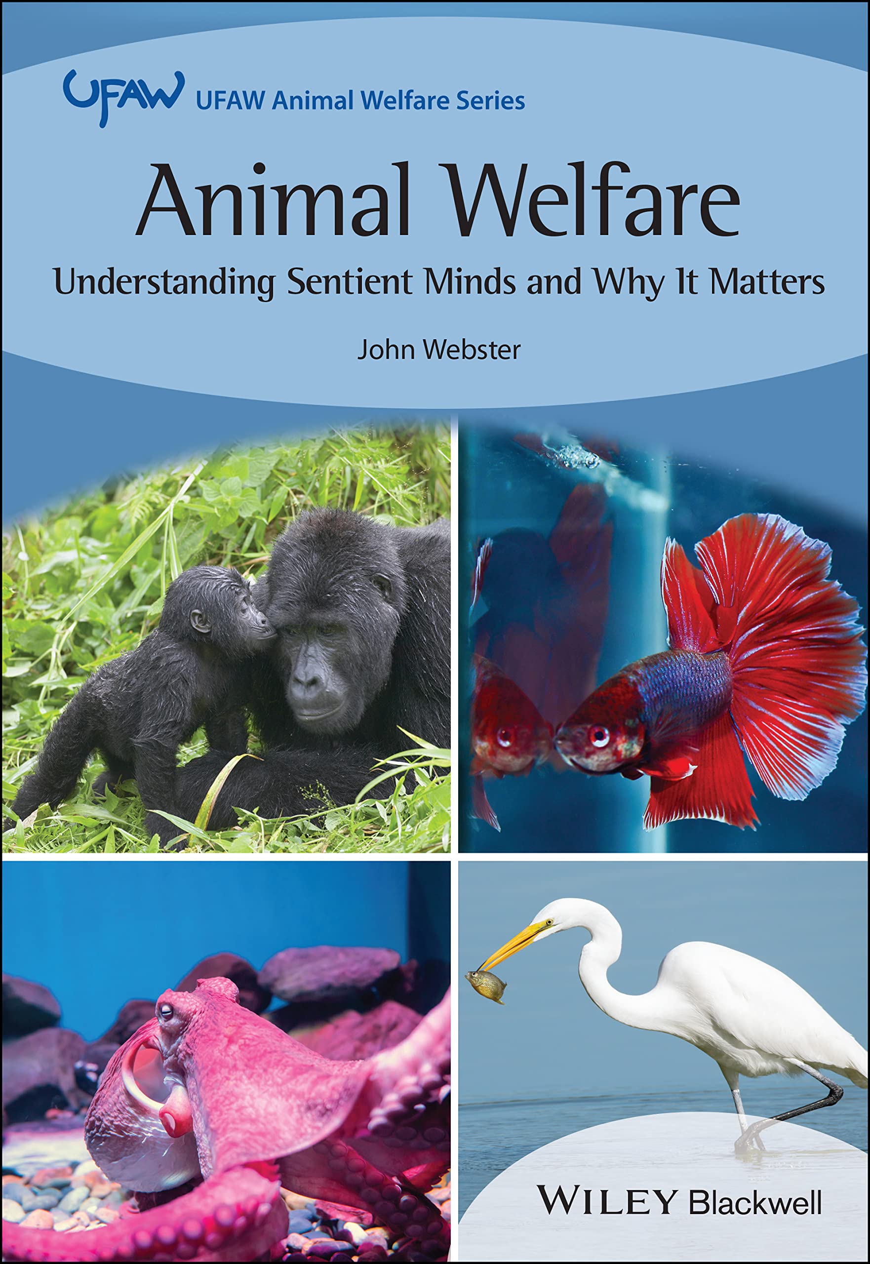 Animal Welfare: Understanding Sentient Minds and Why It Matters (PDF/EPUB Version)