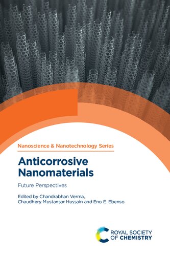 Anticorrosive Nanomaterials: Future Perspectives (PDF/EPUB Version)