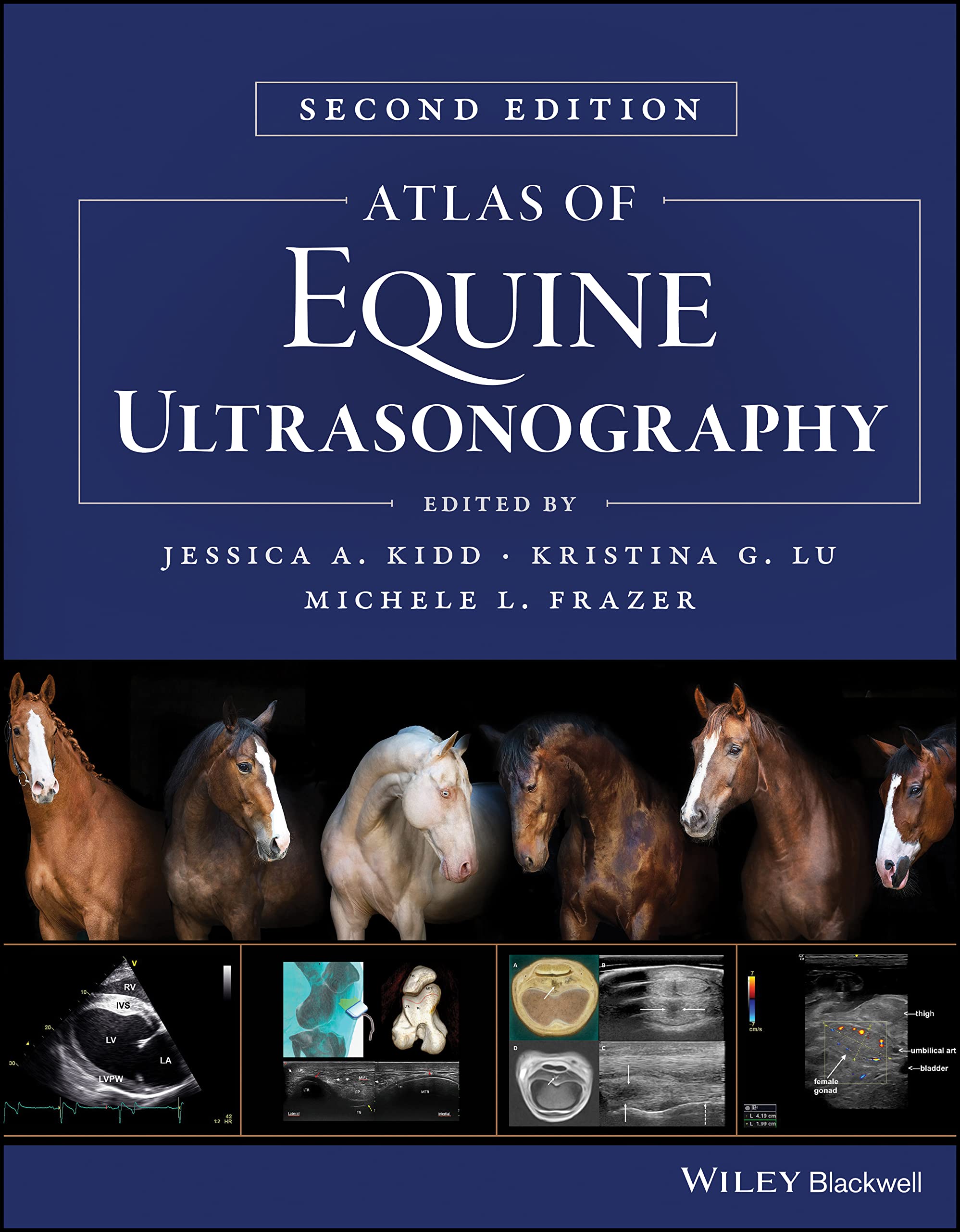 Atlas of Equine Ultrasonography (PDF/EPUB Version)