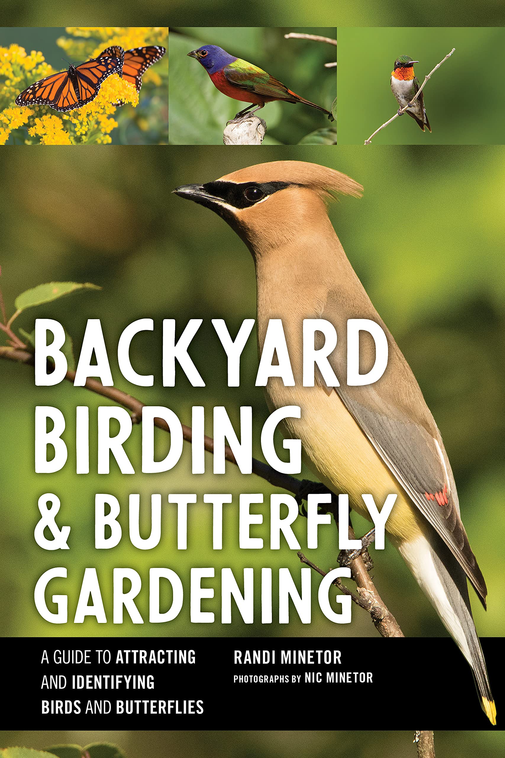 Backyard Birding and Butterfly Gardening (PDF/EPUB Version)
