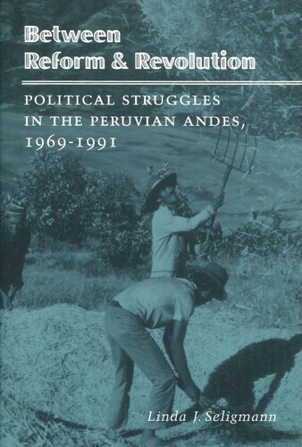 Between Reform and Revolution: Political Struggles in the Peruvian Andes, 1969-1991 (PDF/EPUB Version)
