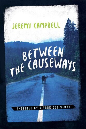 Between the Causeways (PDF/EPUB Version)