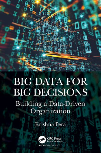 Big Data for Big Decisions: Building a Data-Driven Organization (PDF/EPUB Version)