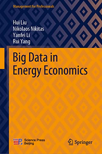 Big Data in Energy Economics (PDF/EPUB Version)