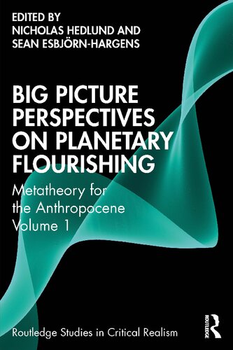 Big Picture Perspectives on Planetary Flourishing: Metatheory for the Anthropocene, Volume 1 (PDF/EPUB Version)