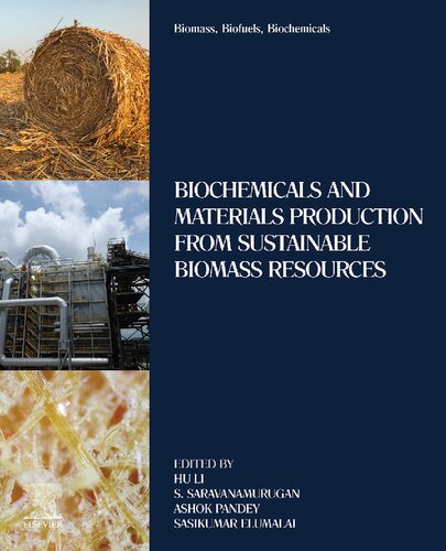 Biomass, Biofuels, Biochemicals: Biochemicals and Materials Production from Sustainable Biomass Resources (PDF/EPUB Version)