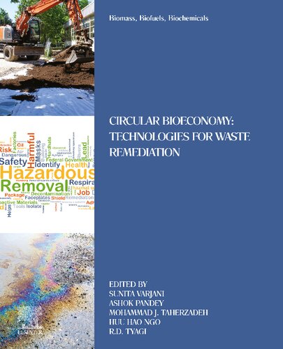 Biomass, Biofuels, Biochemicals: Circular Bioeconomy: Technologies for Waste Remediation (PDF/EPUB Version)