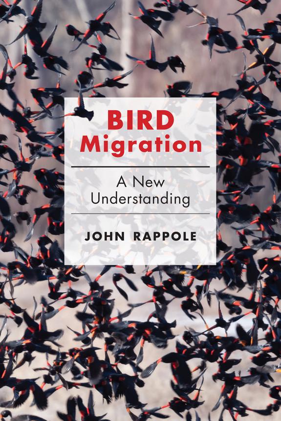 Bird Migration: A New Understanding (PDF/EPUB Version)