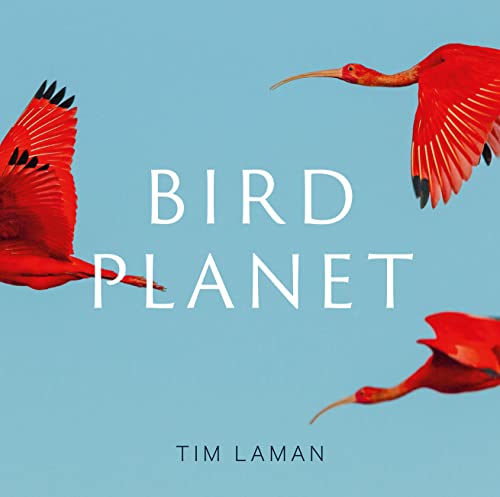 Bird Planet: A Photographic Journey (PDF/EPUB Version)