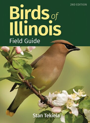 Birds of Illinois Field Guide (Bird Identification Guides) (PDF/EPUB Version)