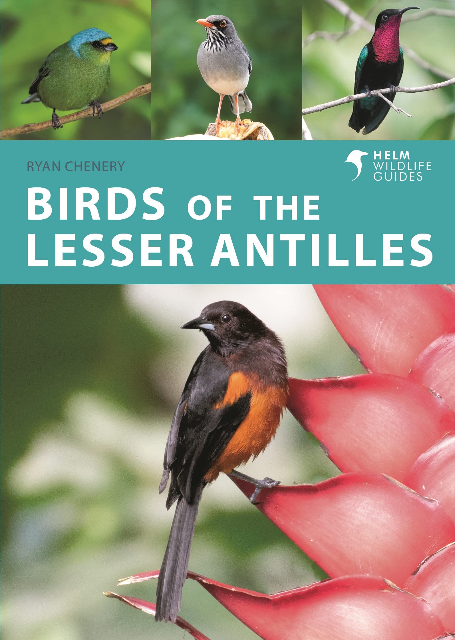 Birds of the Lesser Antilles (PDF/EPUB Version)