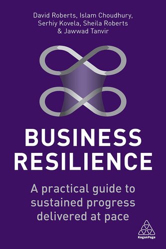 Business Resilience: A Practical Guide to Sustained Progress Delivered at Pace (PDF/EPUB Version)