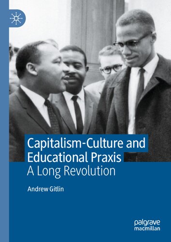 Capitalism-Culture and Educational Praxis: A Long Revolution (PDF/EPUB Version)