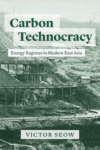 Carbon Technocracy: Energy Regimes in Modern East Asia (PDF/EPUB Version)