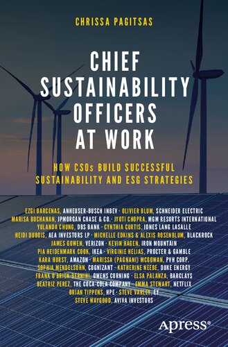 Chief Sustainability Officers At Work: How CSOs Build Successful Sustainability and ESG Strategies (PDF/EPUB Version)