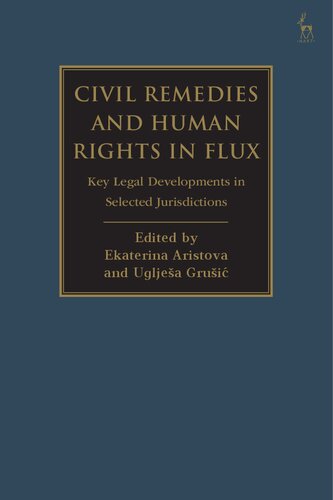 Civil Remedies and Human Rights in Flux: Key Legal Developments in Selected Jurisdictions (PDF/EPUB Version)