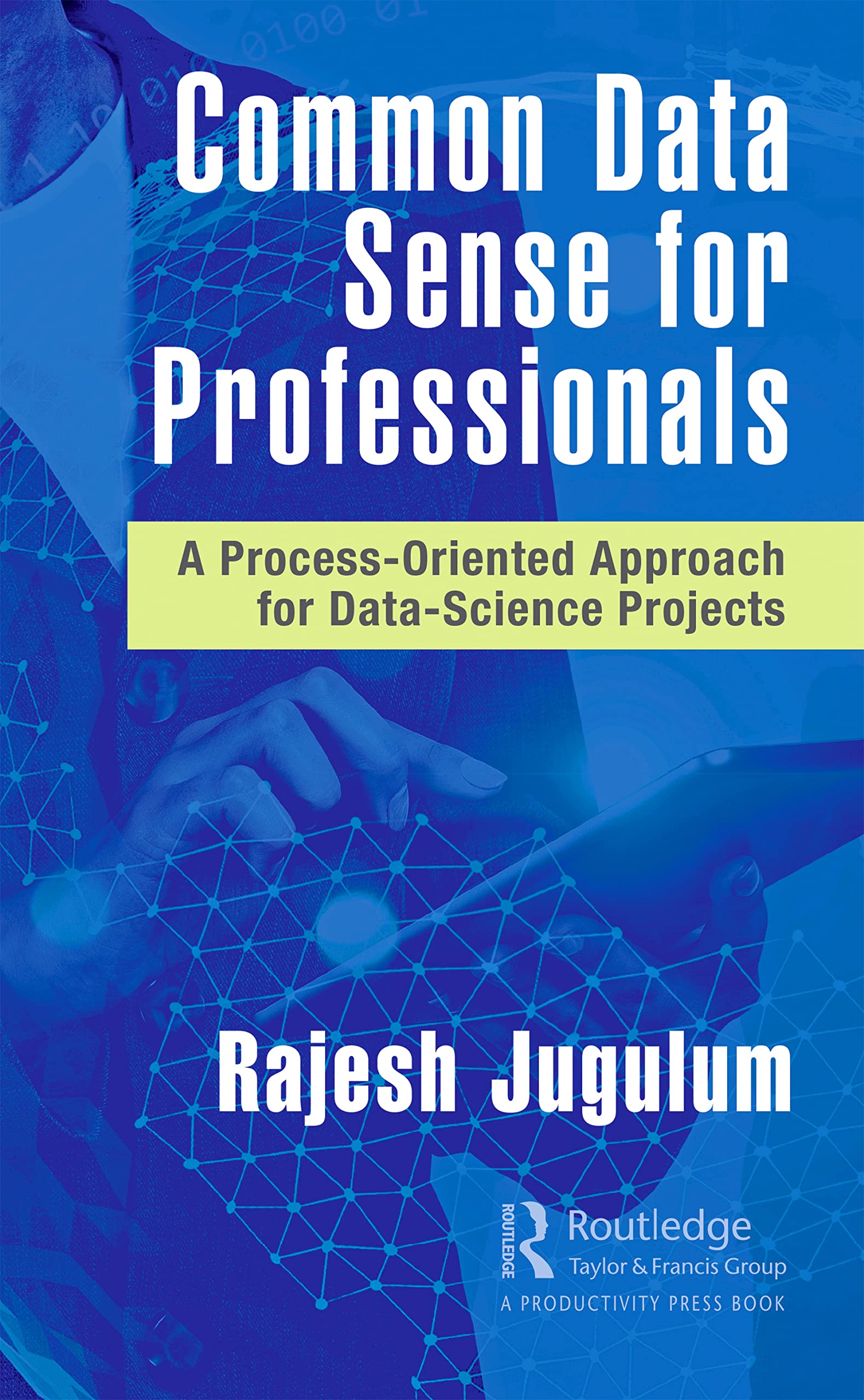 Common Data Sense for Professionals (PDF/EPUB Version)