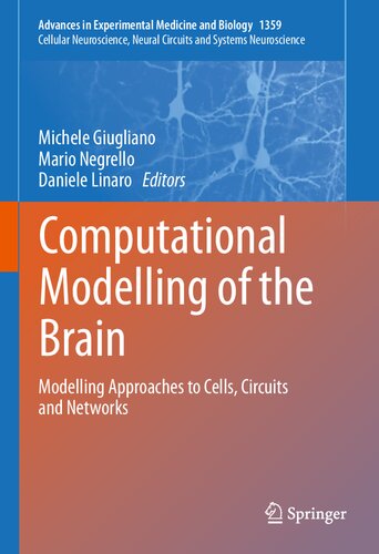 Computational Modelling of the Brain: Modelling Approaches to Cells, Circuits and Networks (Advances in Experimental Medicine and Biology, 1359) (PDF/EPUB Version)